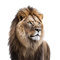 ライオン